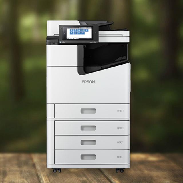 Epson document management systems